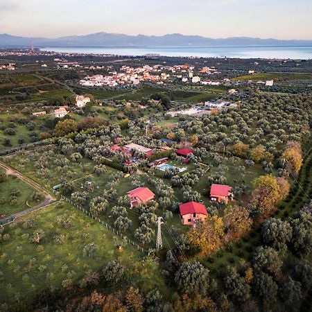 La Piana Degli Ulivi Bed and Breakfast Rossano Eksteriør billede