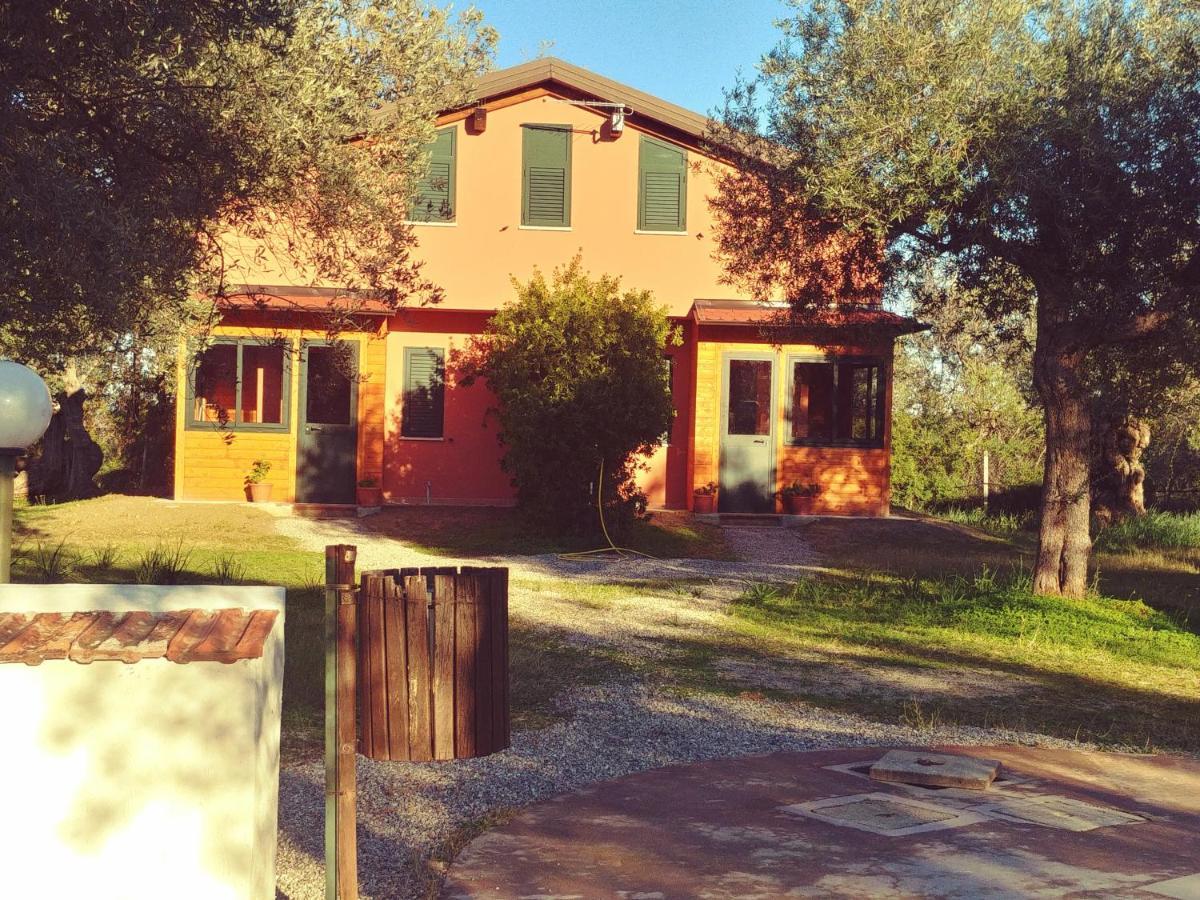La Piana Degli Ulivi Bed and Breakfast Rossano Eksteriør billede