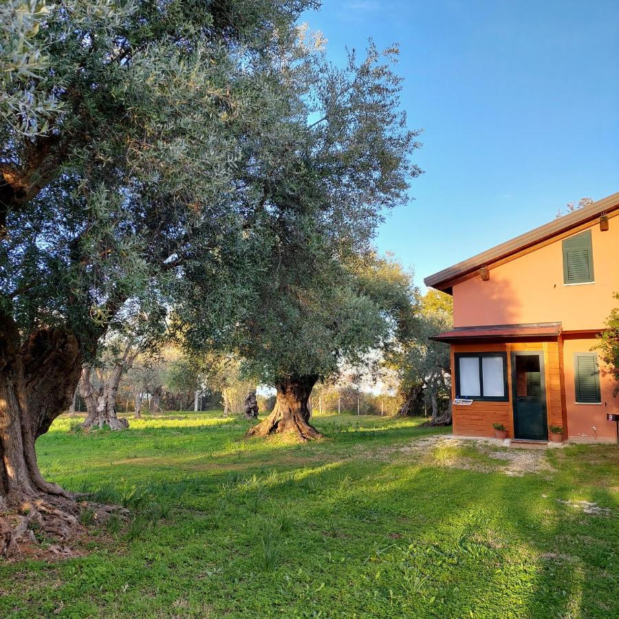 La Piana Degli Ulivi Bed and Breakfast Rossano Eksteriør billede