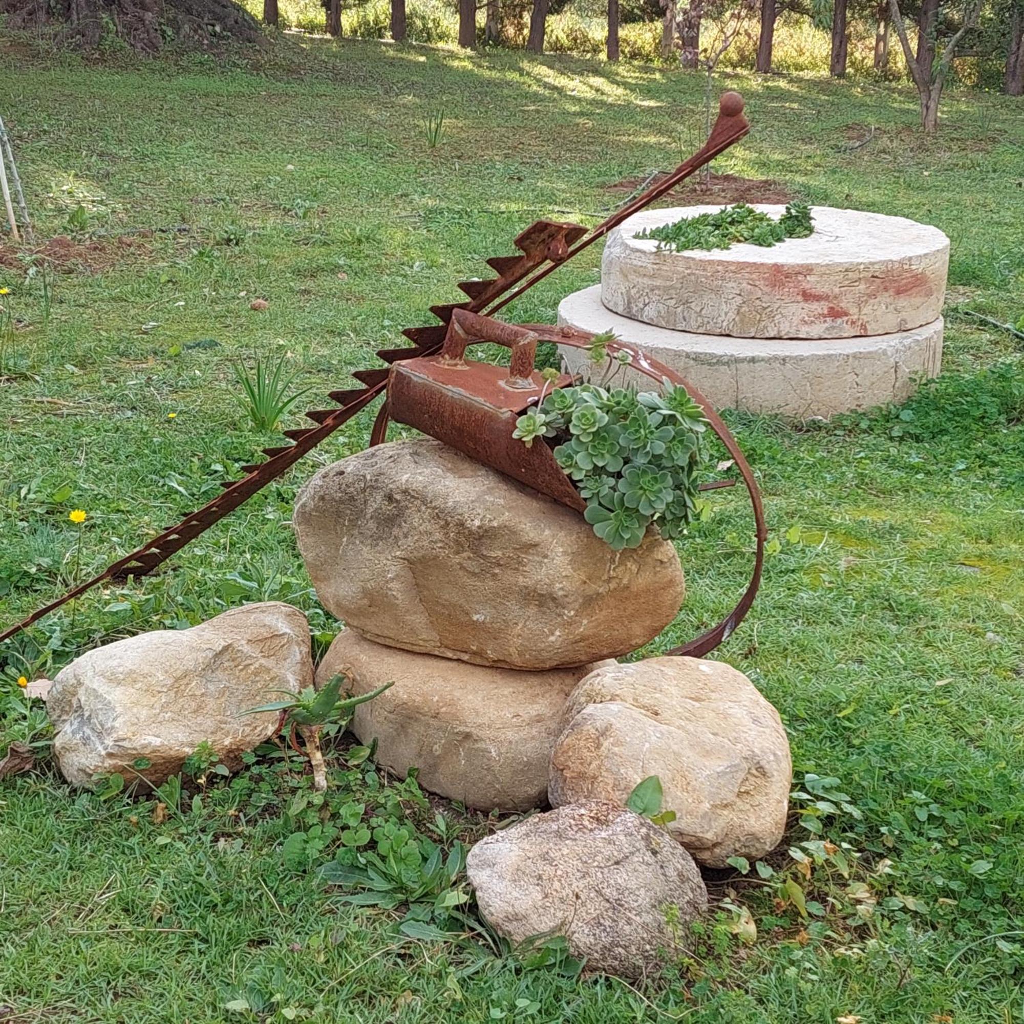 La Piana Degli Ulivi Bed and Breakfast Rossano Eksteriør billede