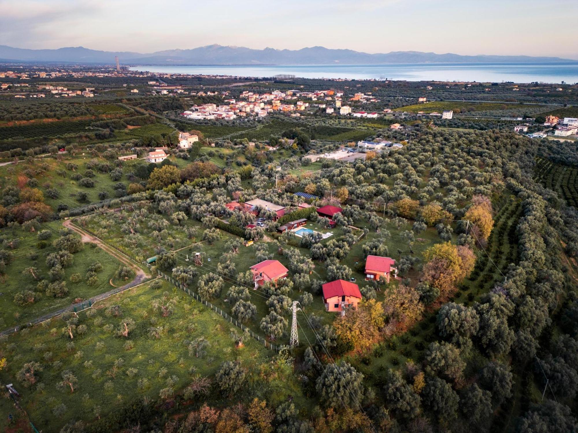 La Piana Degli Ulivi Bed and Breakfast Rossano Eksteriør billede