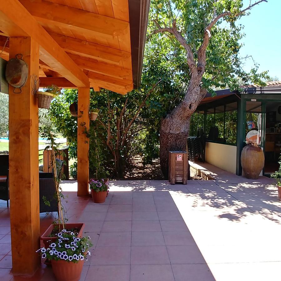 La Piana Degli Ulivi Bed and Breakfast Rossano Eksteriør billede
