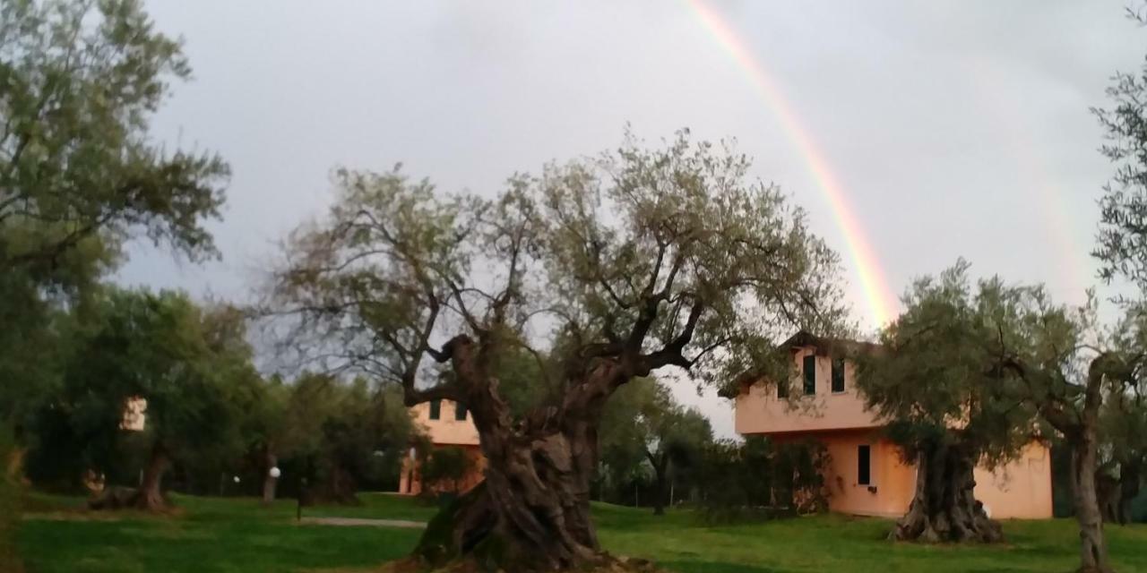La Piana Degli Ulivi Bed and Breakfast Rossano Eksteriør billede
